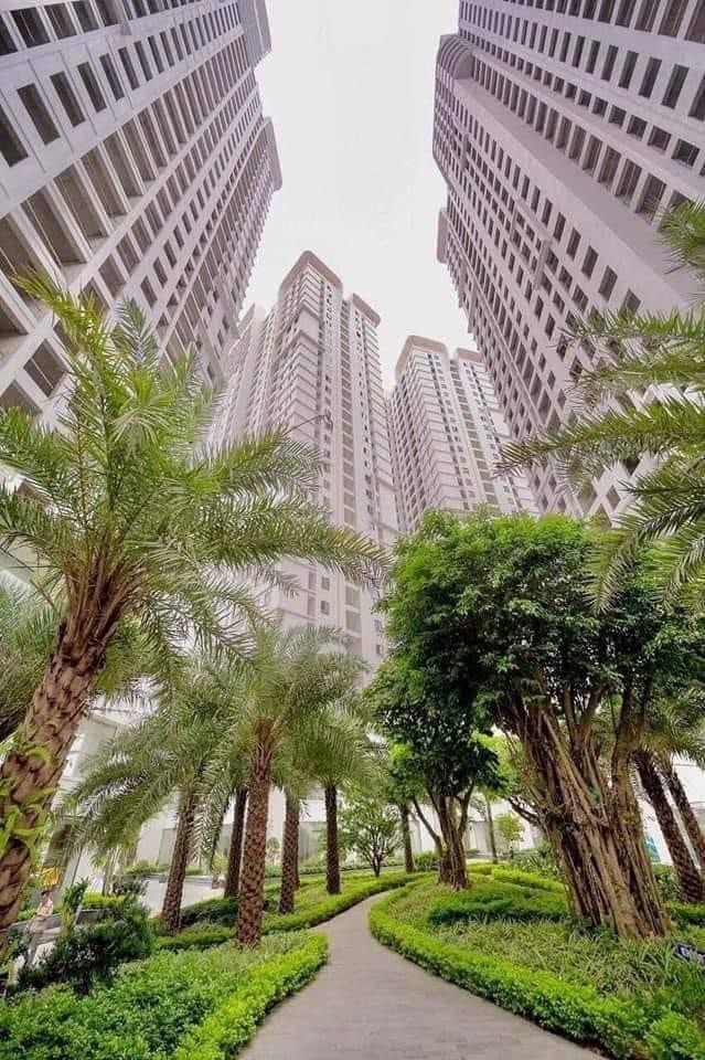 Với mức vốn ban đầu từ 790tr có thể sở hữu CHCC từ 62-72m2 phong cách Singapore