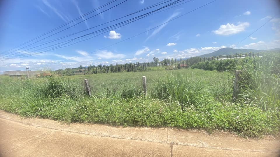 Cần bán 3 lô đất đối diện trường nghĩa hiệp, liên hiệp đức trọng