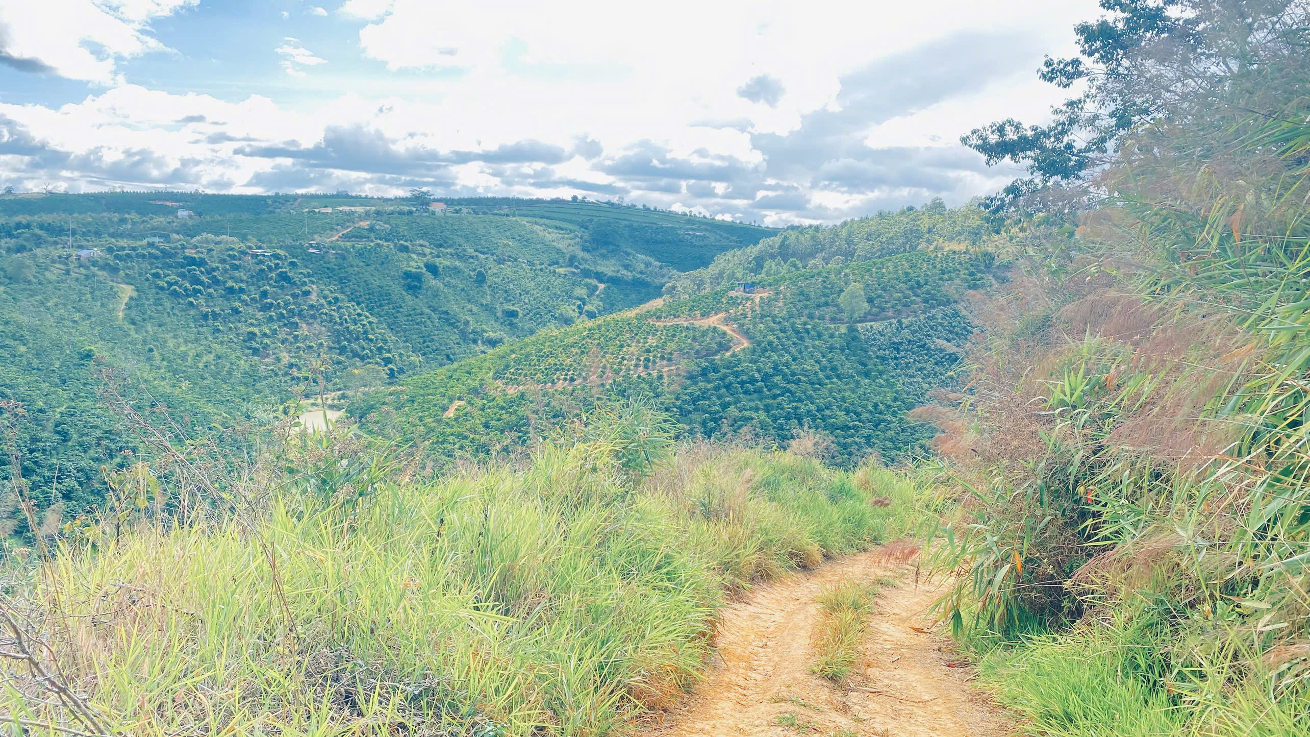 4,6 sào đất ninh gia, đức trọng cũ, lâm đồng, oto, xe tải vào tận nơi