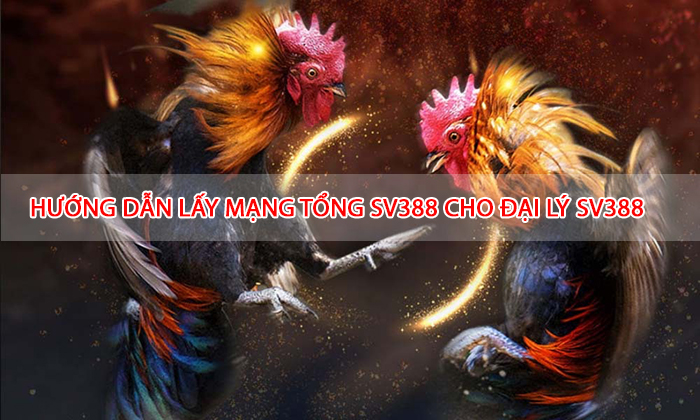 HƯỚNG DẪN LẤY MẠNG TỔNG SV388 CHO ĐẠI LÝ SV388