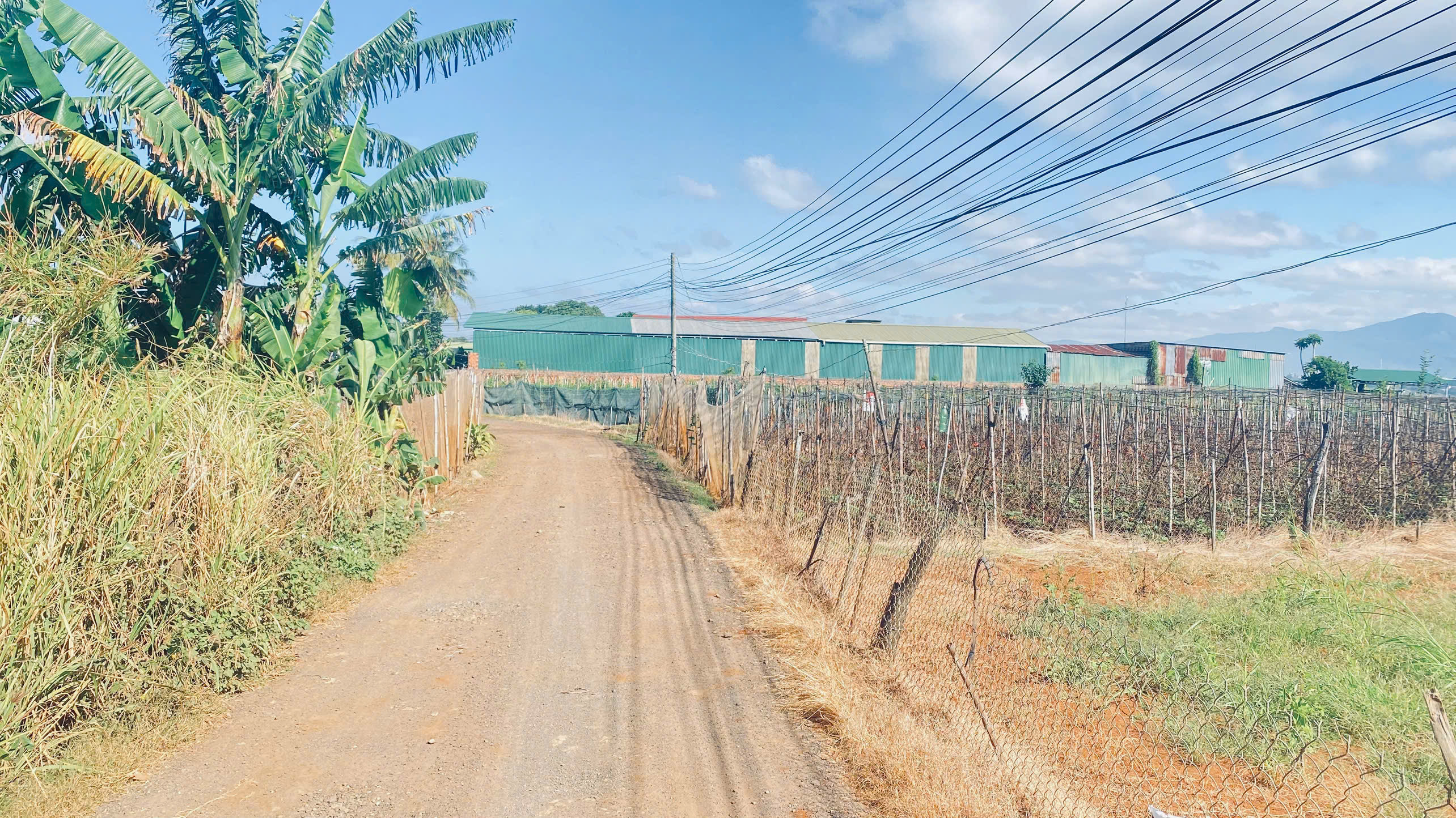 1400m2 mặt tiền đường hàn thuyên, view nhìn hồ nam sơn, đức trọng, lâm đồng