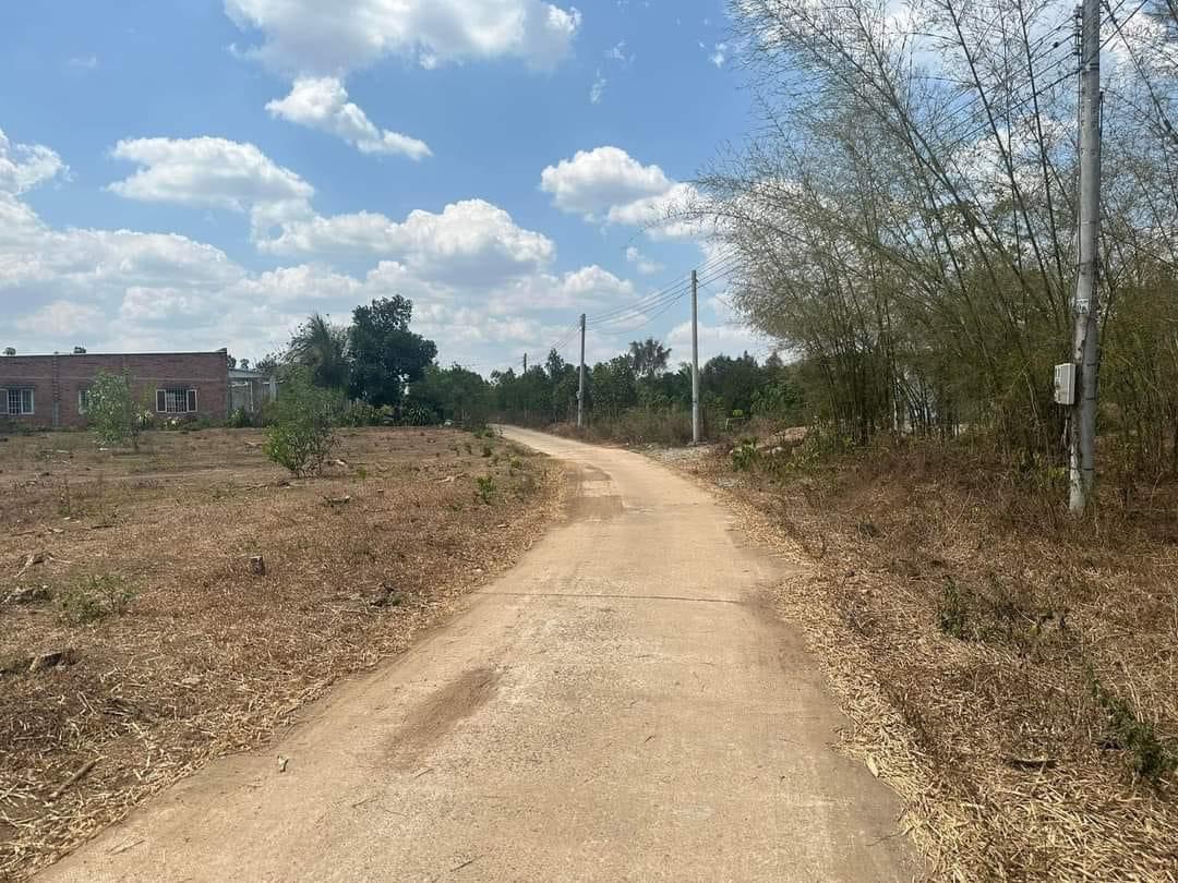 Bán lô đất 130triệu 161m2 sổ hồng riêng thổ cư,hổ trợ ngân hàng 50% , Hớn Quản B