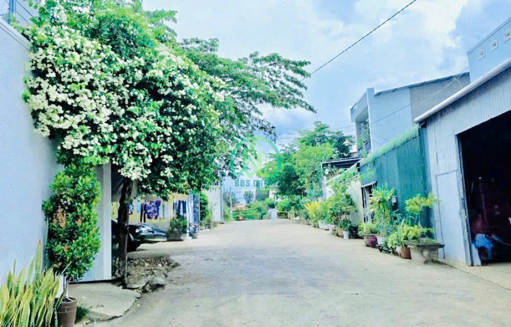 nhánh phù đổng thiên vương, gần sân bay quốc tế lương khương, đức trọng, lâmđồng