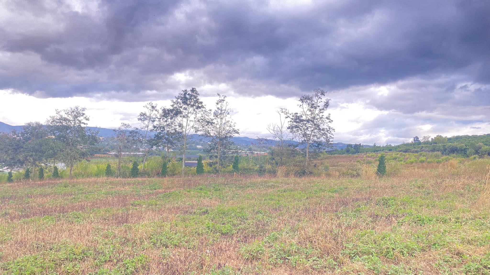 Gần 2 héc ta đất hẻm xã Tân thành Tân hội Đức trọng