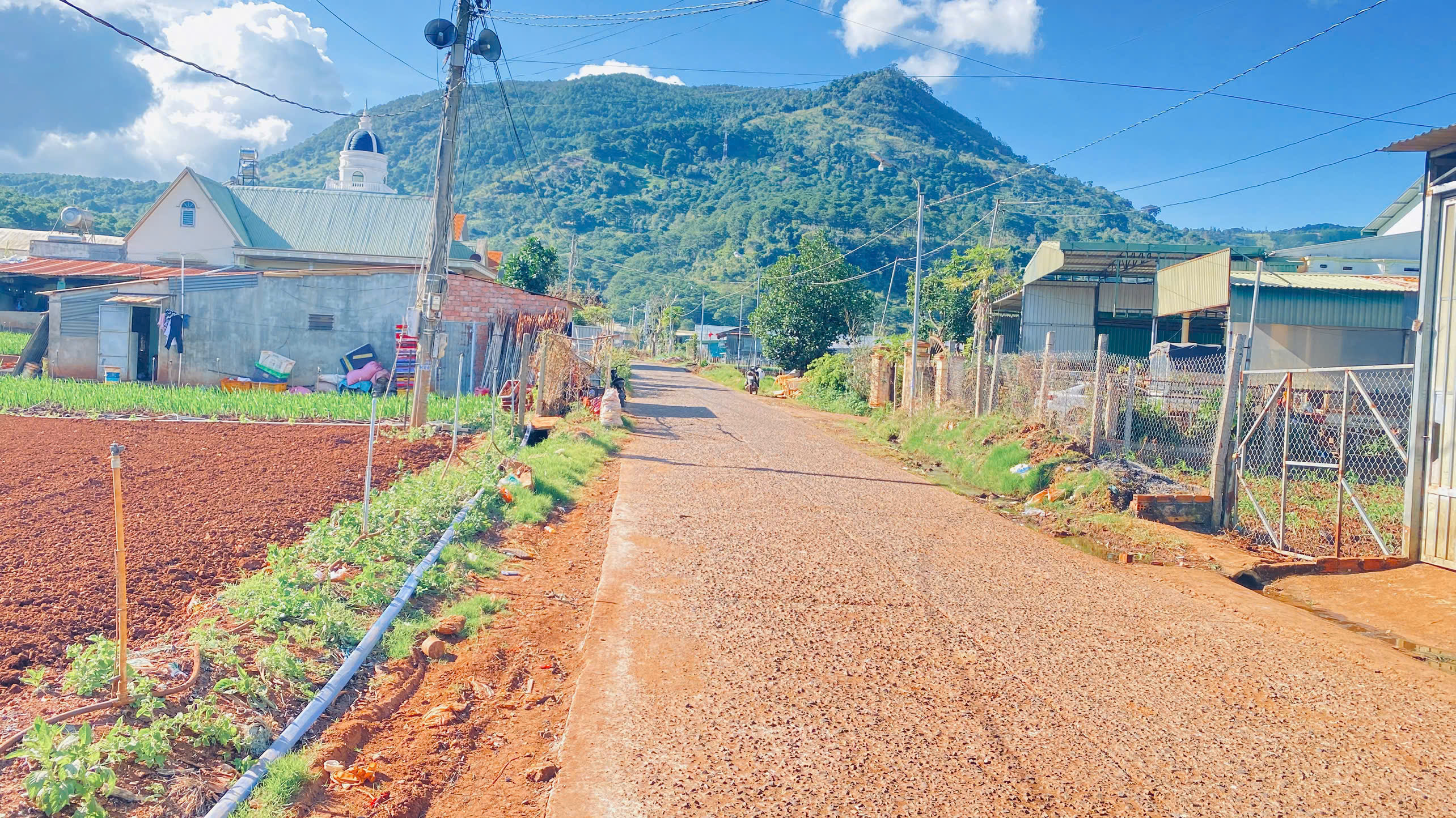 1 sào hẻm ql20, hiệp an cũ, đức trọng, lâm đồng