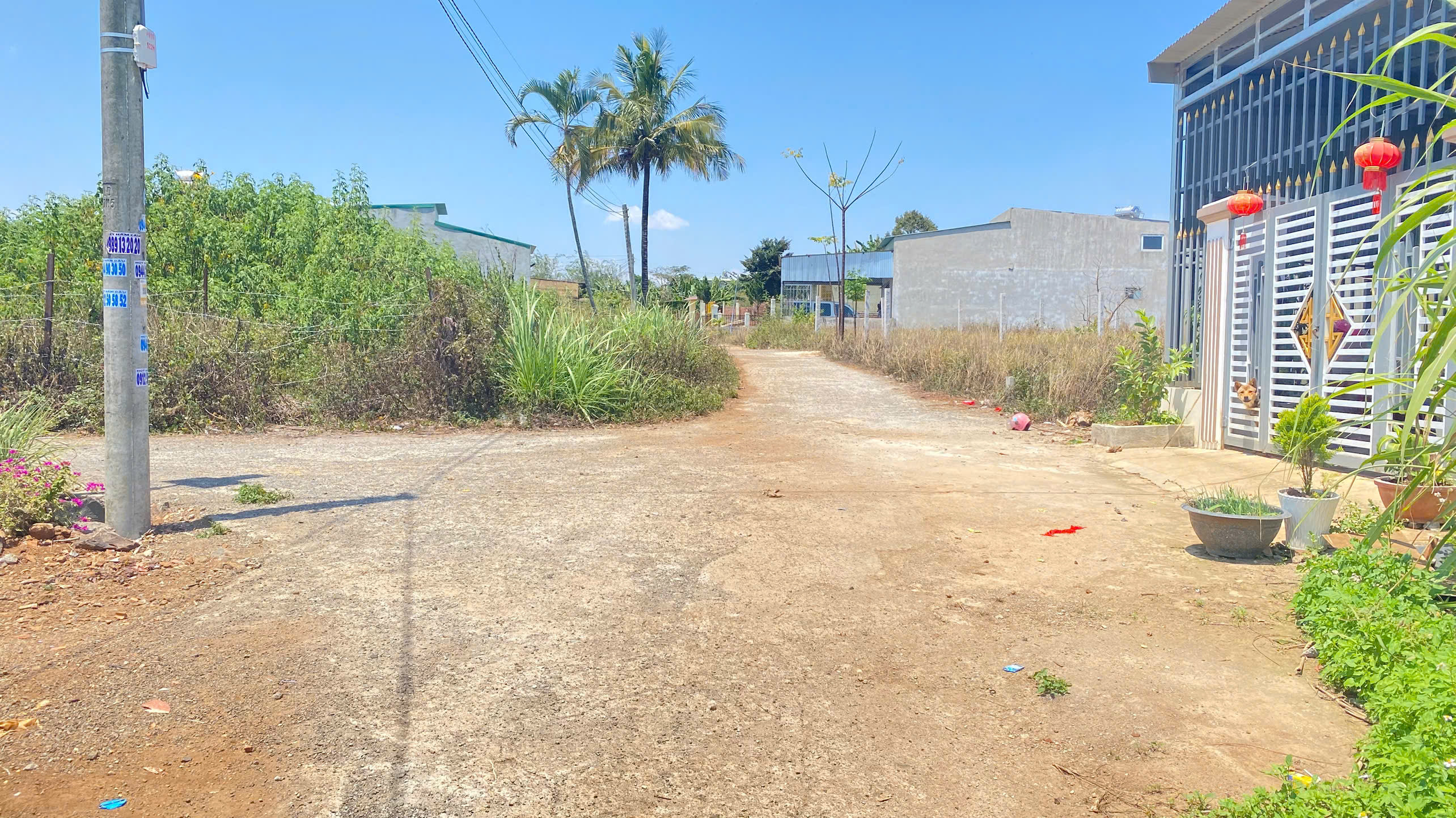 Đất hẻm phân lô phú hội cũ, đức trọng, lâm đồng bao sổ