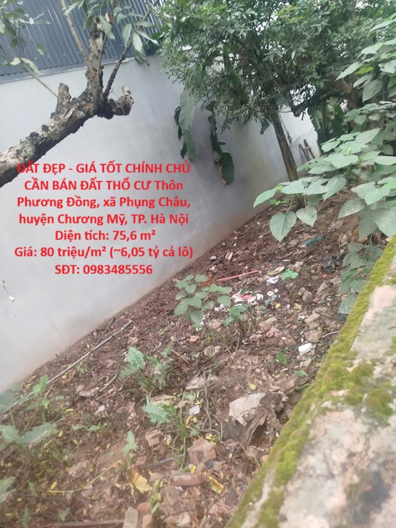 ĐẤT ĐẸP - GIÁ TỐT CHÍNH CHỦ CẦN BÁN ĐẤT THỔ CƯ -xã  PHỤNG CHÂU, CHƯƠNG MỸ, HÀ