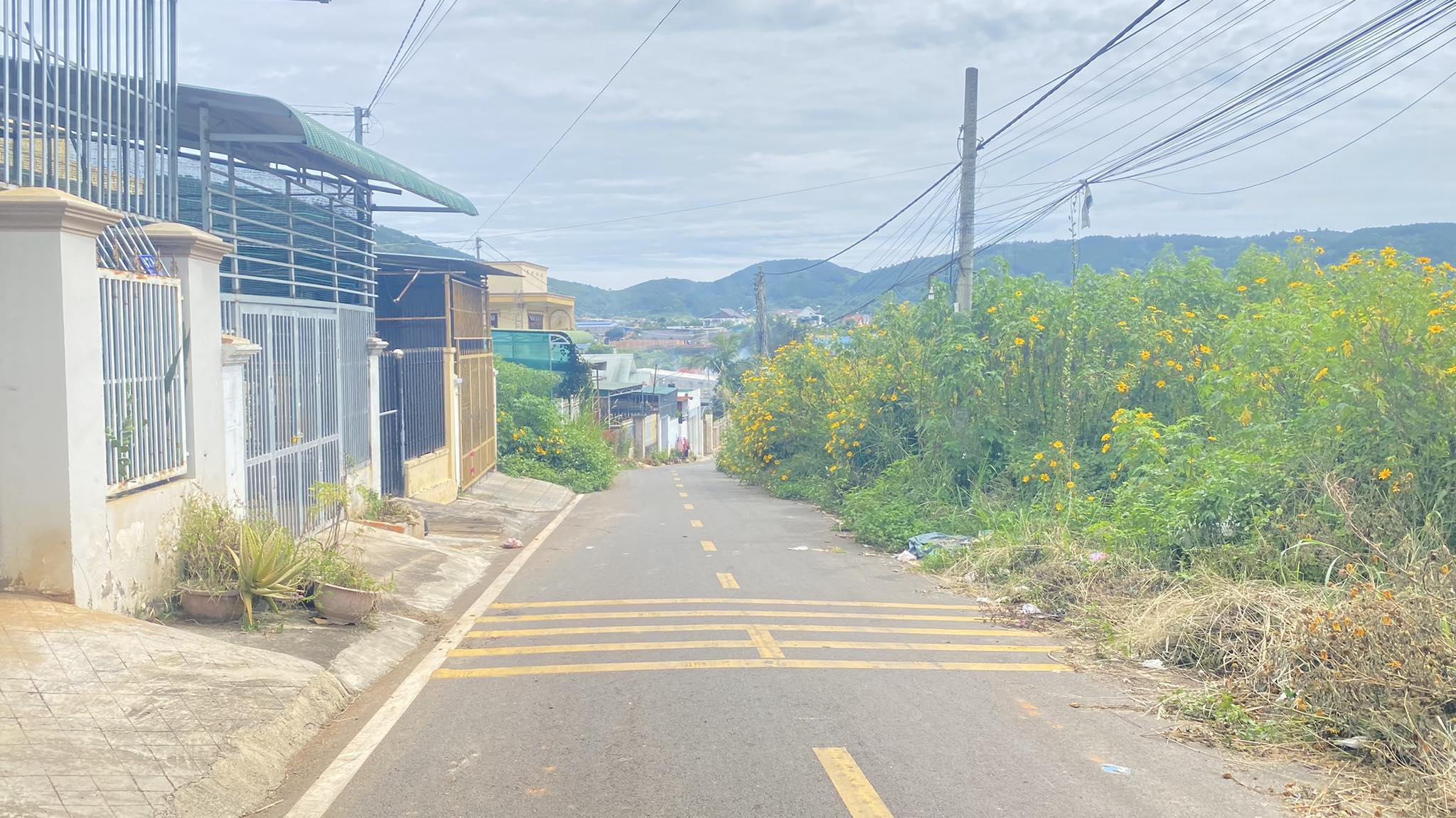 Bán nhà trung tâm liên nghĩa, mặt tiền phan bội châu giá chỉ 2,6 tỷ