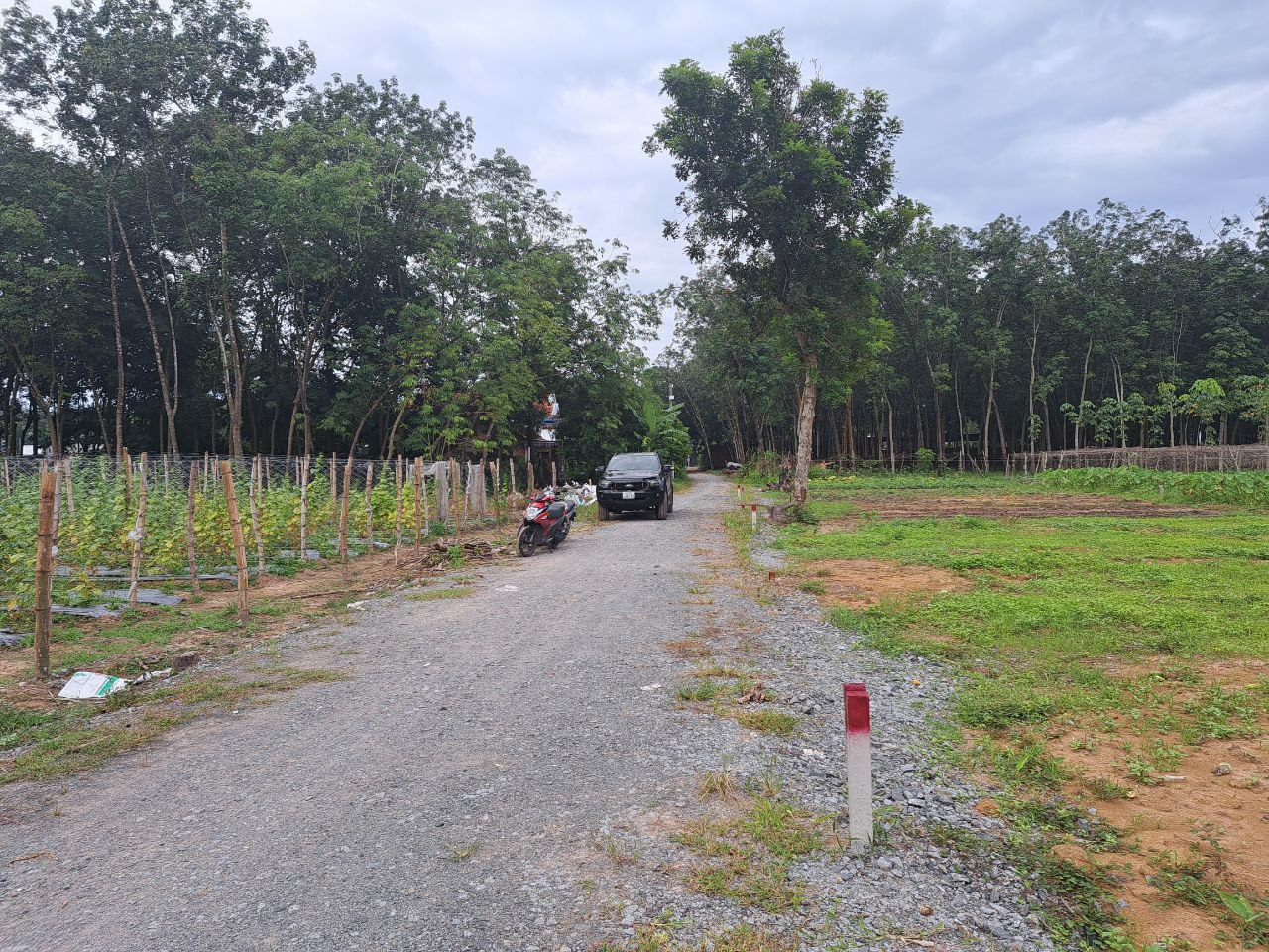 Bán đất Bình Dương giá rẻ 285m2/100 tc sổ sẳn