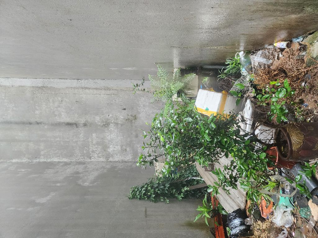 1,88 tỷ bán đất thúy lĩnh 30M hoàng mai