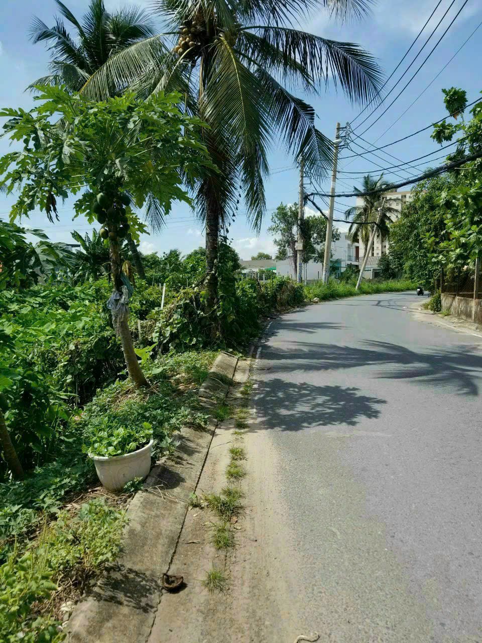 Bán Gấp Đất Thổ Cư Tại Hoàng Phan Thái Bình Chánh.