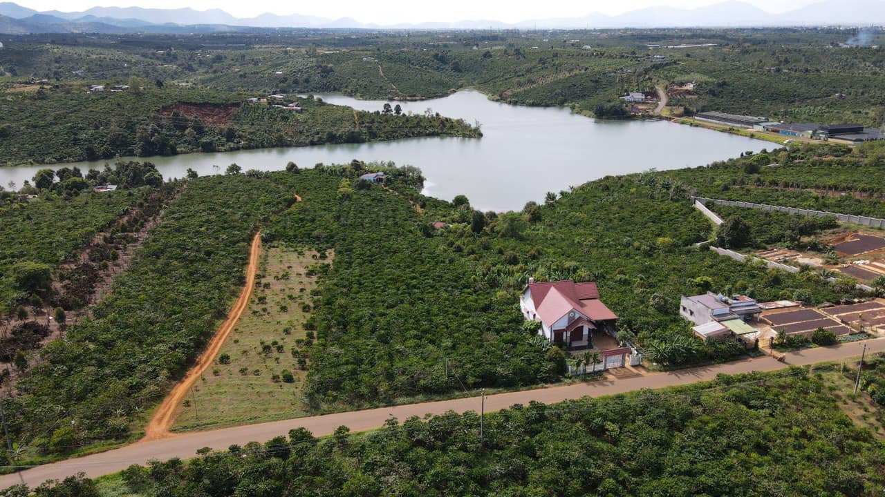 Bán 2ha đất Đinh Trang Hòa - Di Linh  nằm giáp hồ