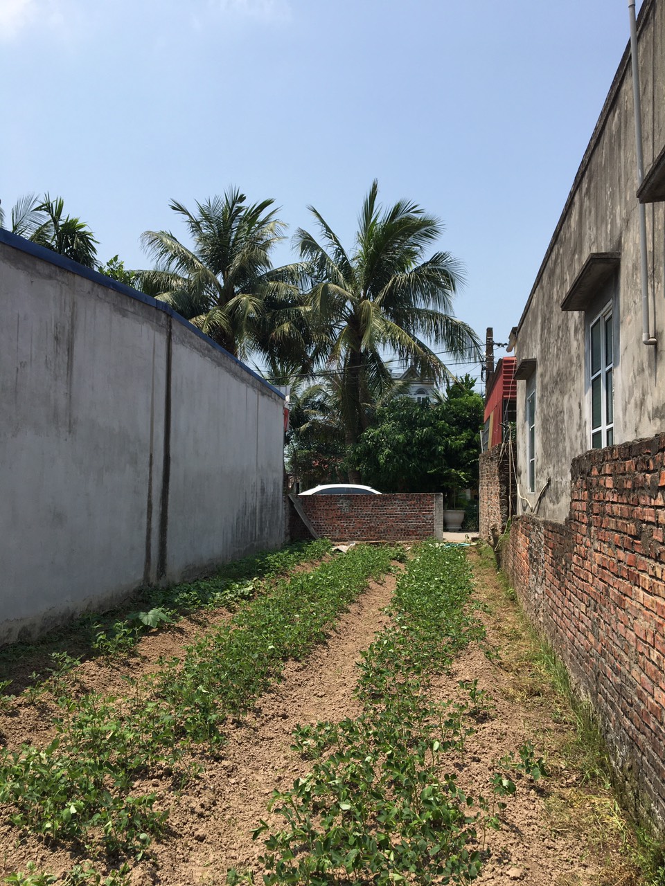 Bán Lô đất đẹp Hải Phòng - Thị Trấn Tiên Lãng