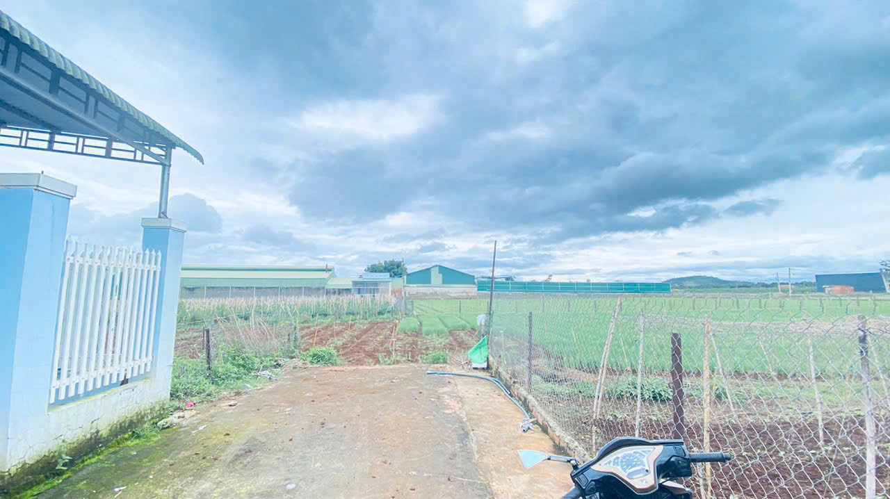 Bán đất sẵn nhà tiền chế hẻm tổ 32, liên nghĩa, đức trọng