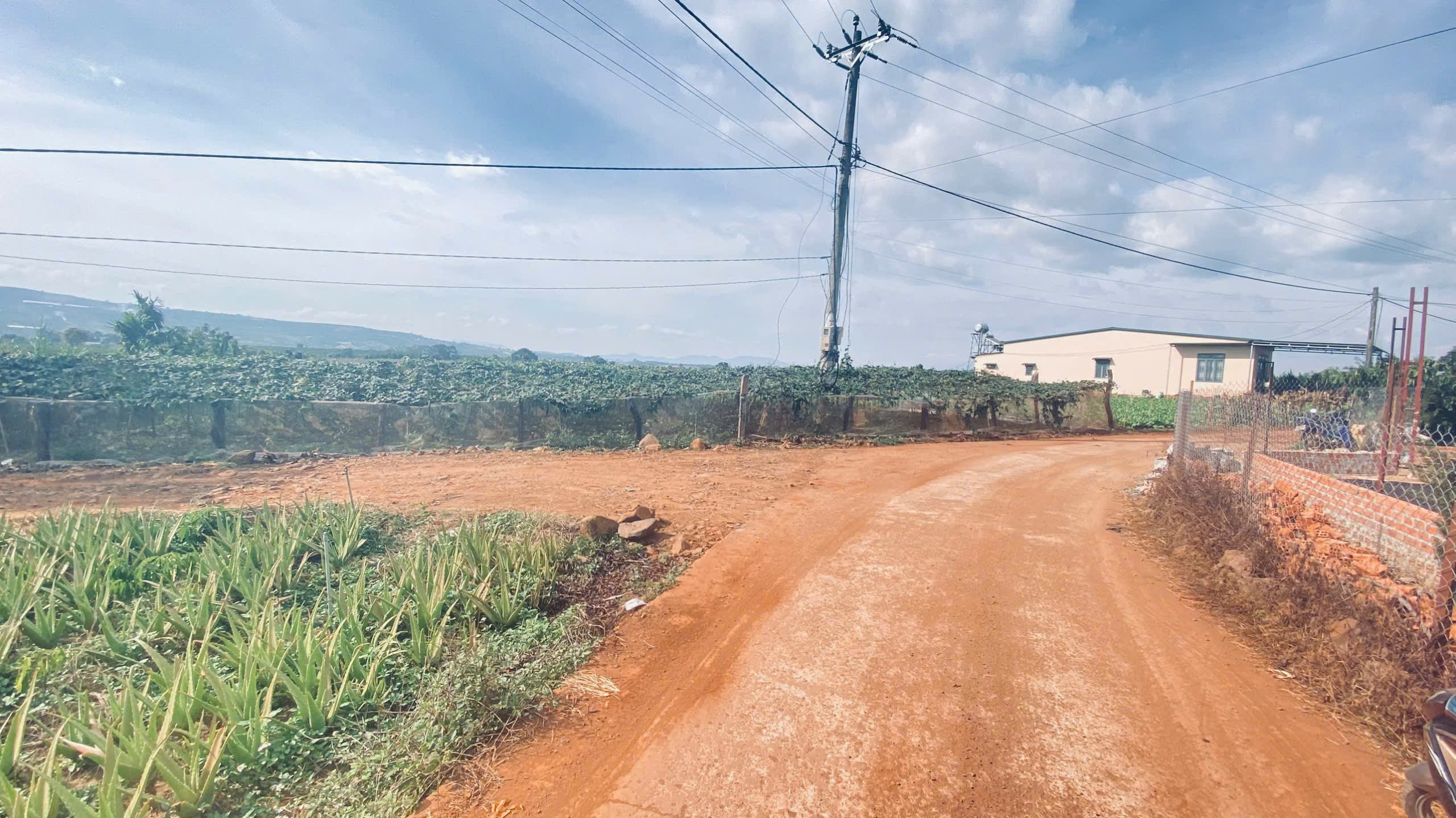 Gần 1,1 ha ( chỉ 11,5 tỷ ), hẻm ba cản, tân hội, đức trọng cũ, lâm đồng