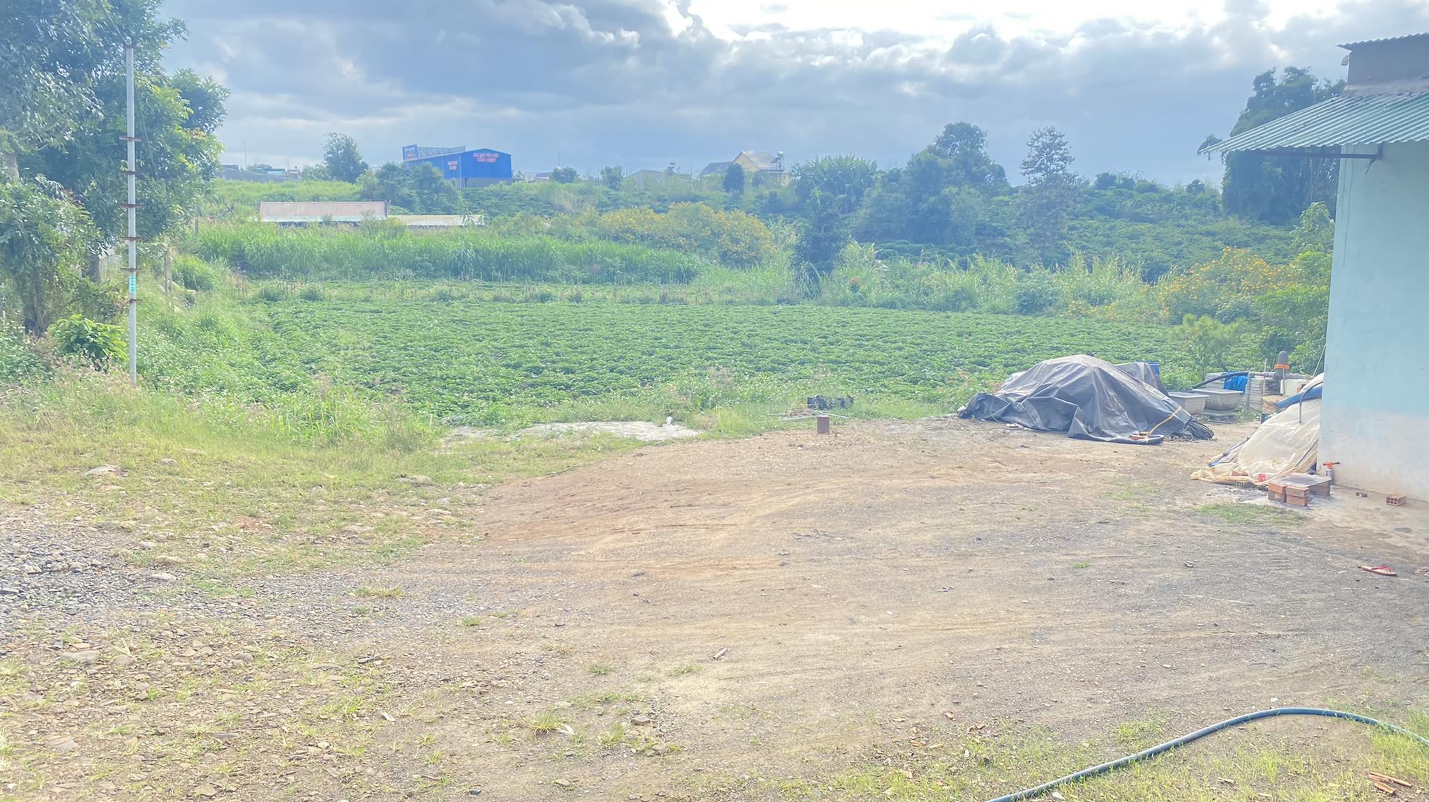 Bán 40m mặt tiền nhựa dh1 tân hội đức trọng gần ngã 3 ba cản chỉ 190tr/1m