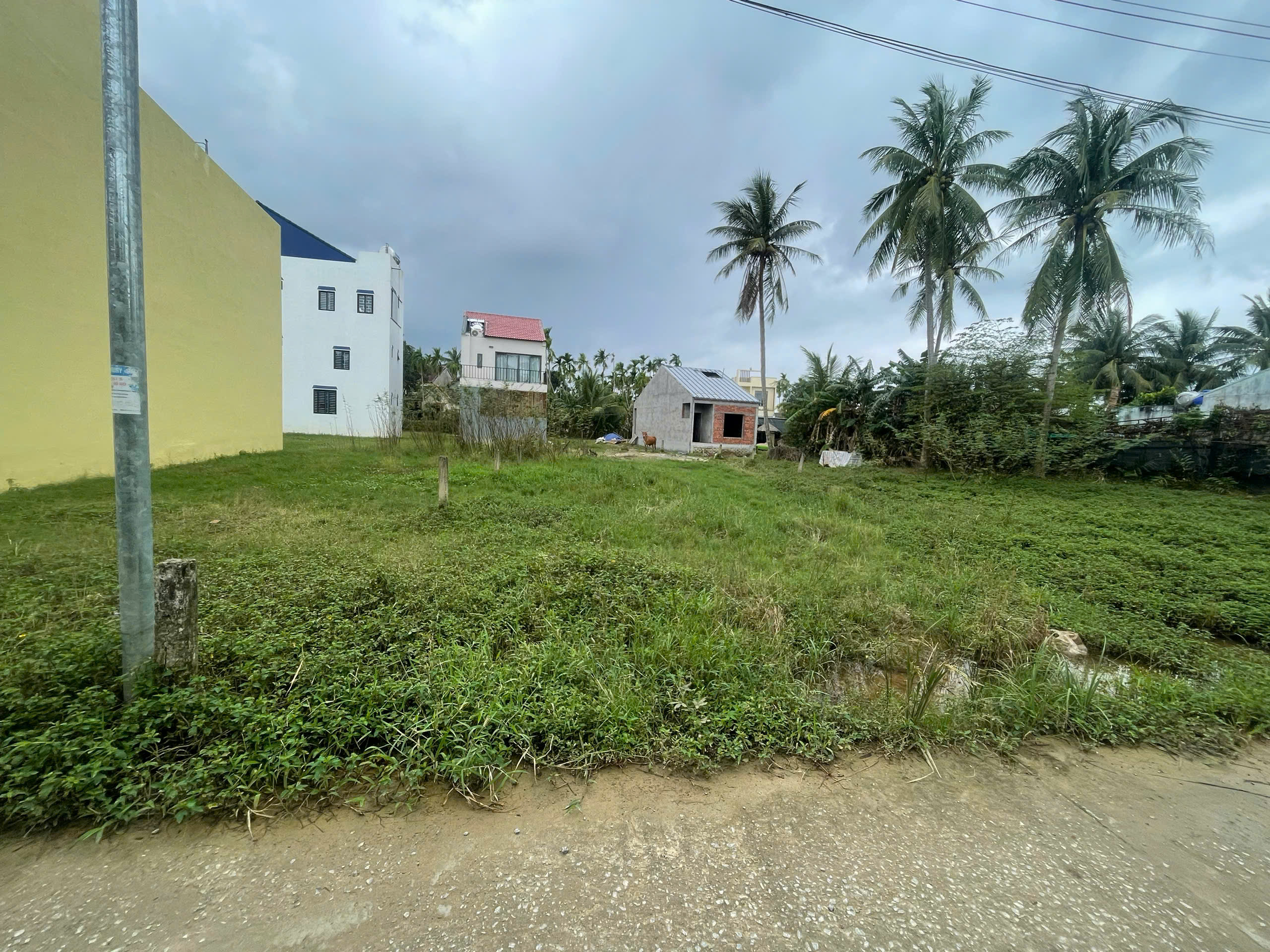 Bán đất hẻm Huỳnh Thị Lựu, 136mv - chỉ 2ty5