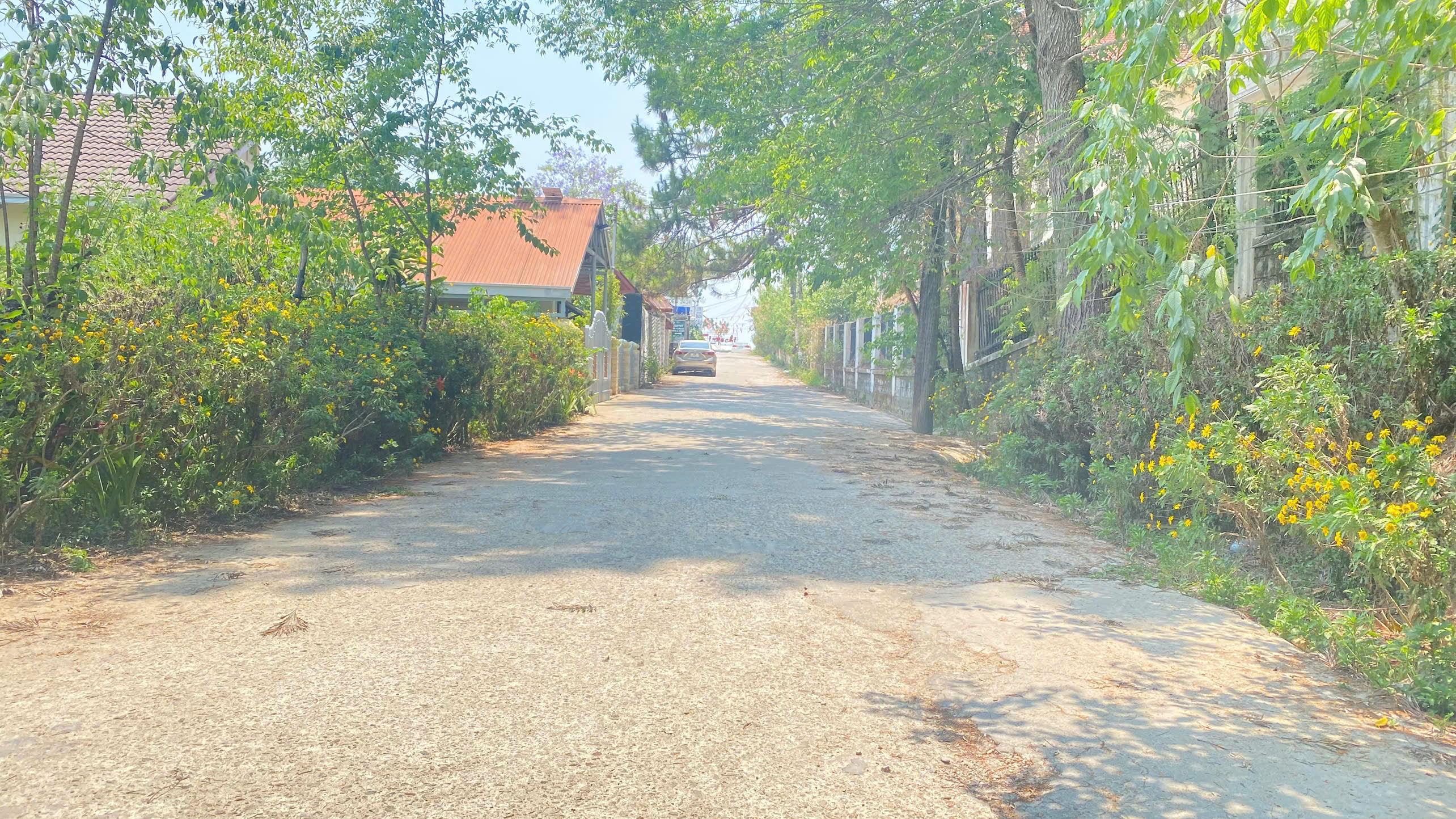 1.832m2  hẻm lớn trần quang diệu, phường 10, đà lạt