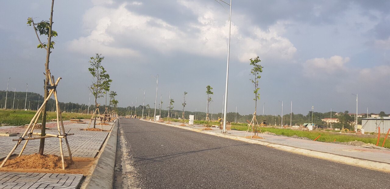 Cần bán gấp lô đất 120m2 giá 1,8 tỷ, mặt tiền đường 60m Hương lộ 2