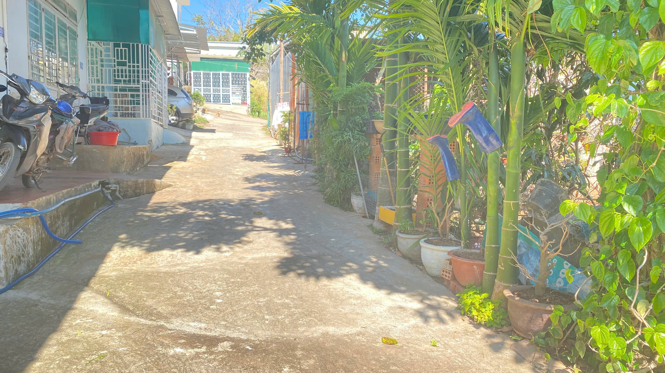 Đất phân lô trung tâm đức trọng, lâm đồng giá rẻ 790 triệu