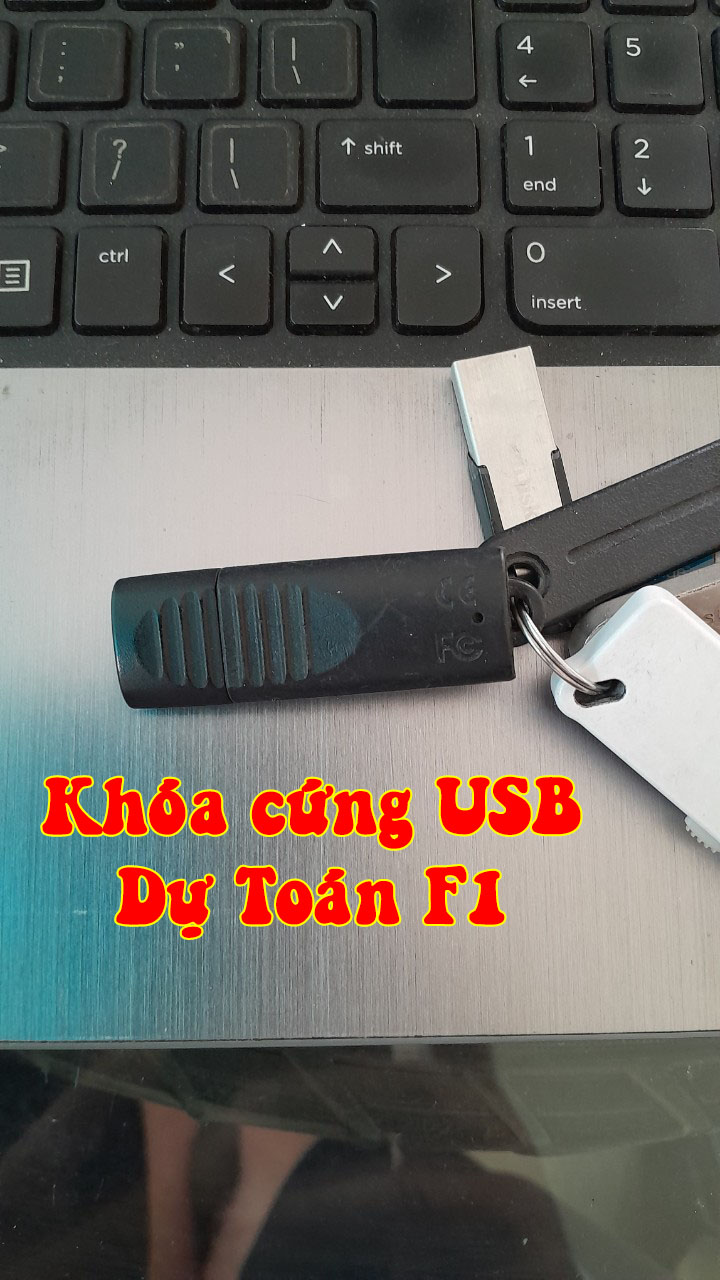 Khóa USB dự toán F1