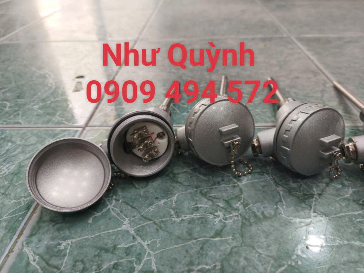 Dò nhiệt củ hành phi 6*100