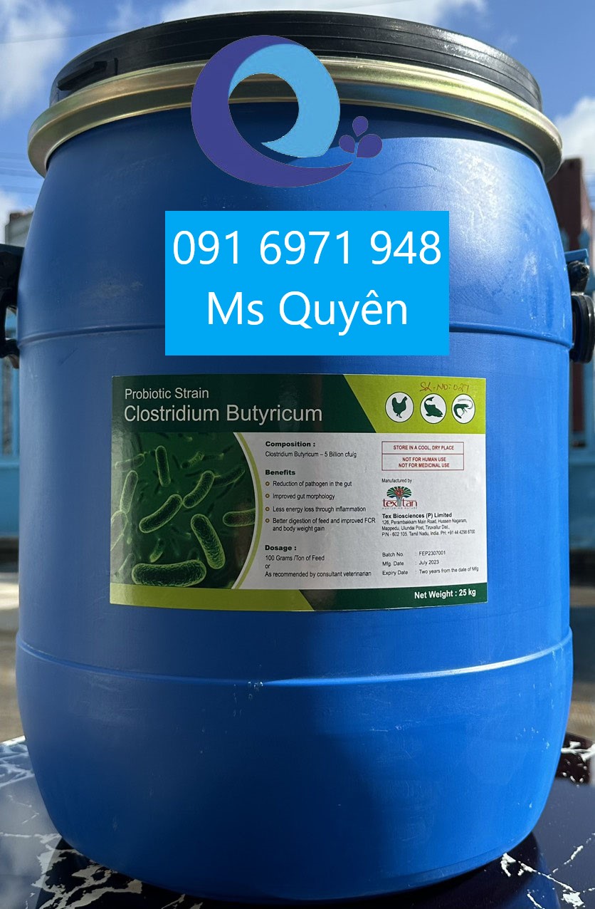 Men vi sinh Clostridium butyricum 5 tỷ CFU/g hàng Ấn Độ