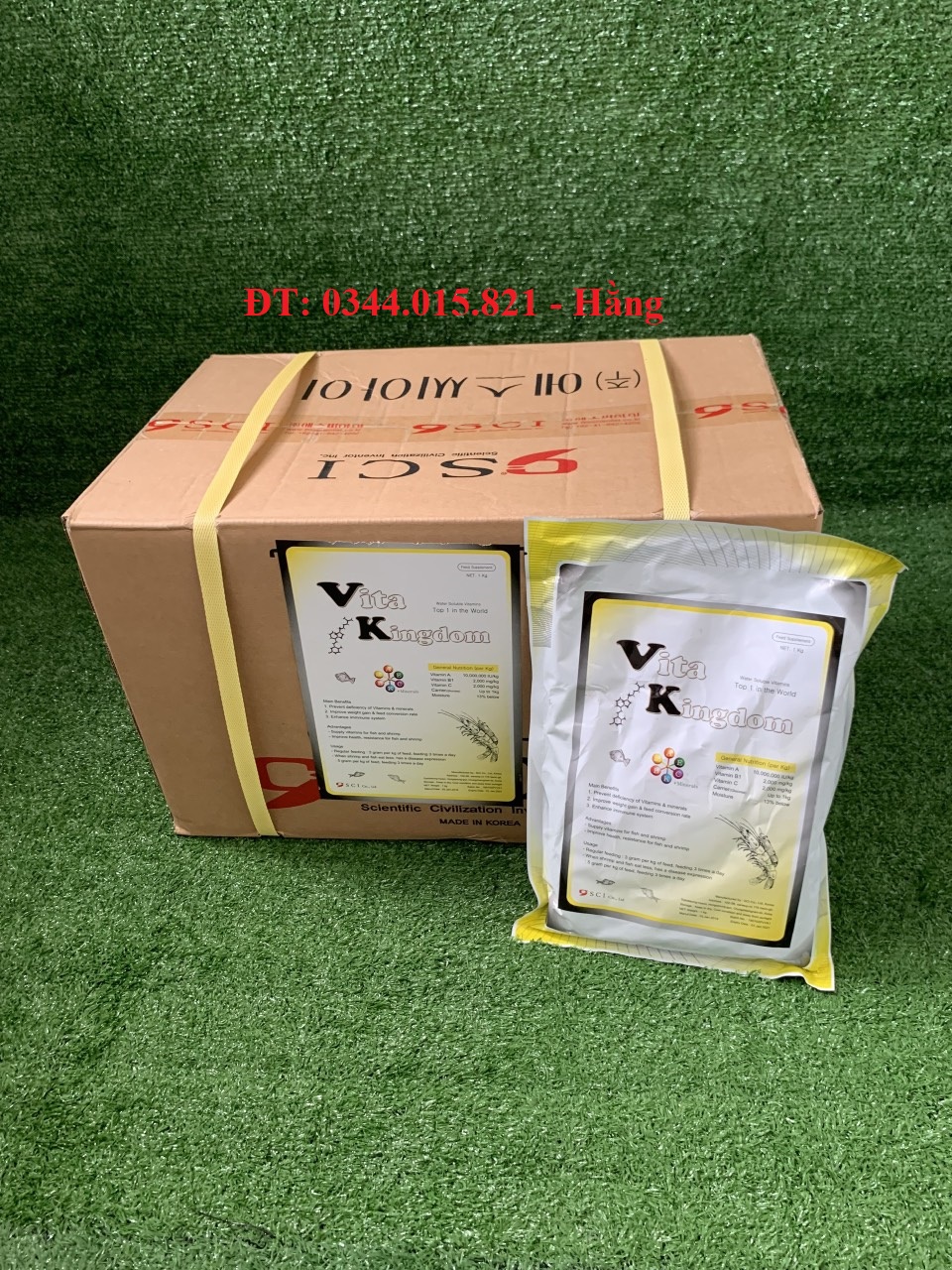 NƠI CUNG CẤP GIỐNG CÂY SUNG MỸ