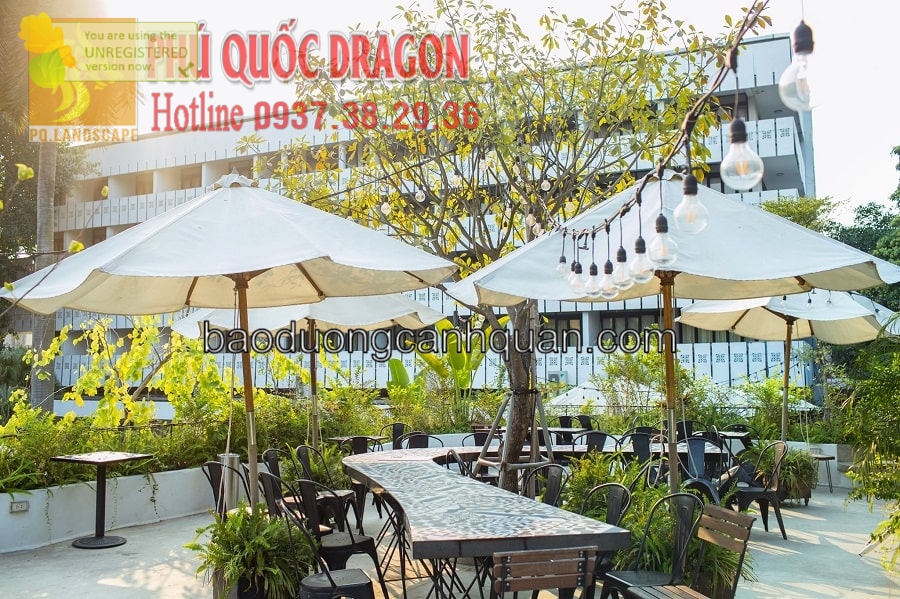 Thi công cảnh quan sân vườn quán café ở HCM, Đồng Nai, Vũng Tàu