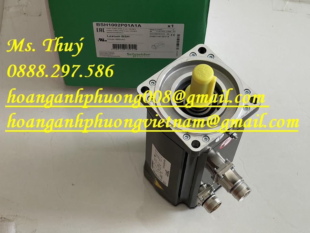 BSH1002P01A1A Schneider - Động cơ nhập giá tốt - Bình Dương