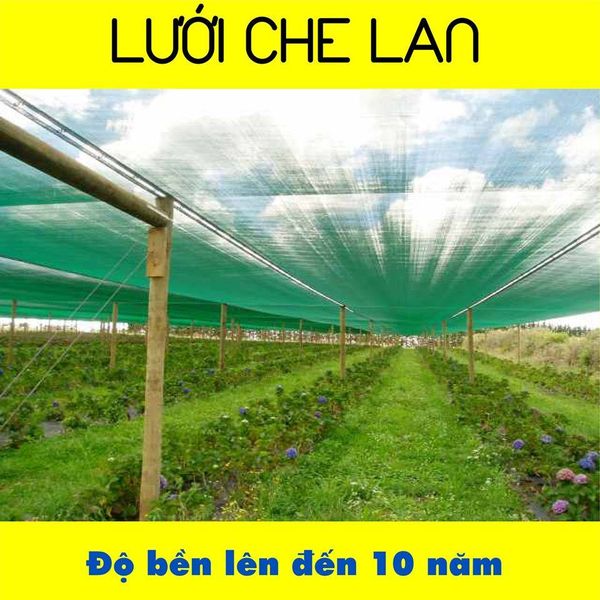 Lưới che nắng của Lưới Việt - giải pháp che nắng tối ưu