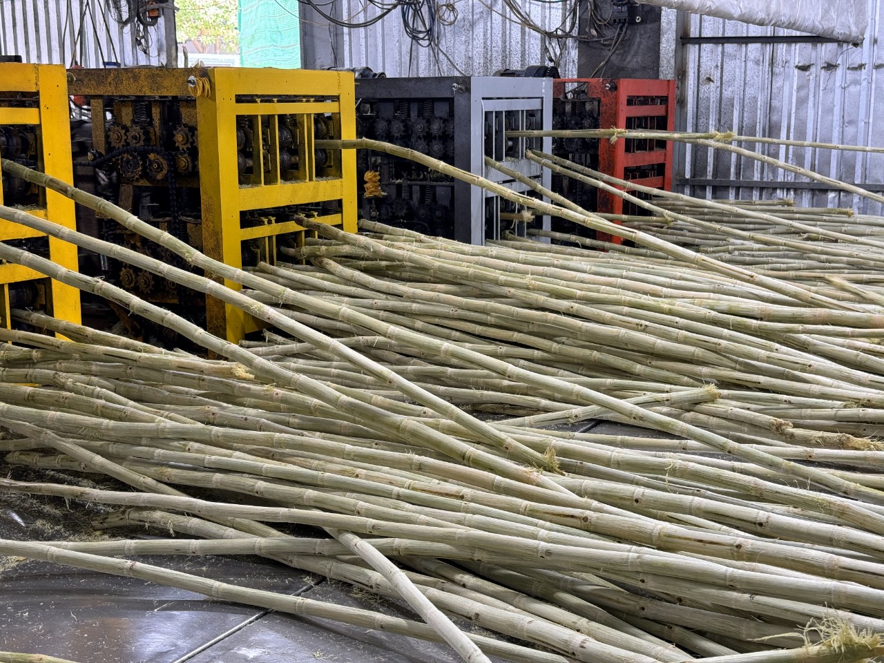 MÍA ĐÔNG LẠNH XUẤT KHẨU VIET GOODS TRADE