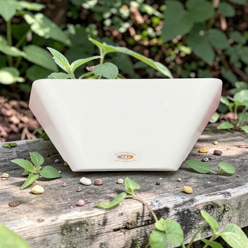 Đèn diệt côn trùng keo dính ZL-011