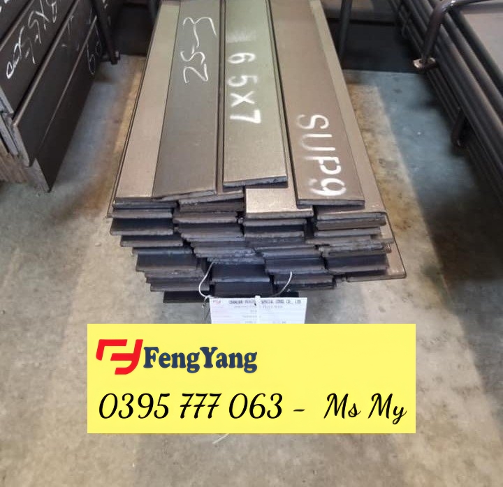 THÉP ĐÀN HỒI 65MN, SUP9, 60C2SUJ2