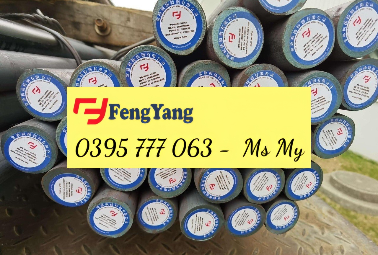 THÉP TRÒN ĐẶC S10C, S20C, S35C, S45C, SCM440, SKD11, D2, Cr12MoV, ...