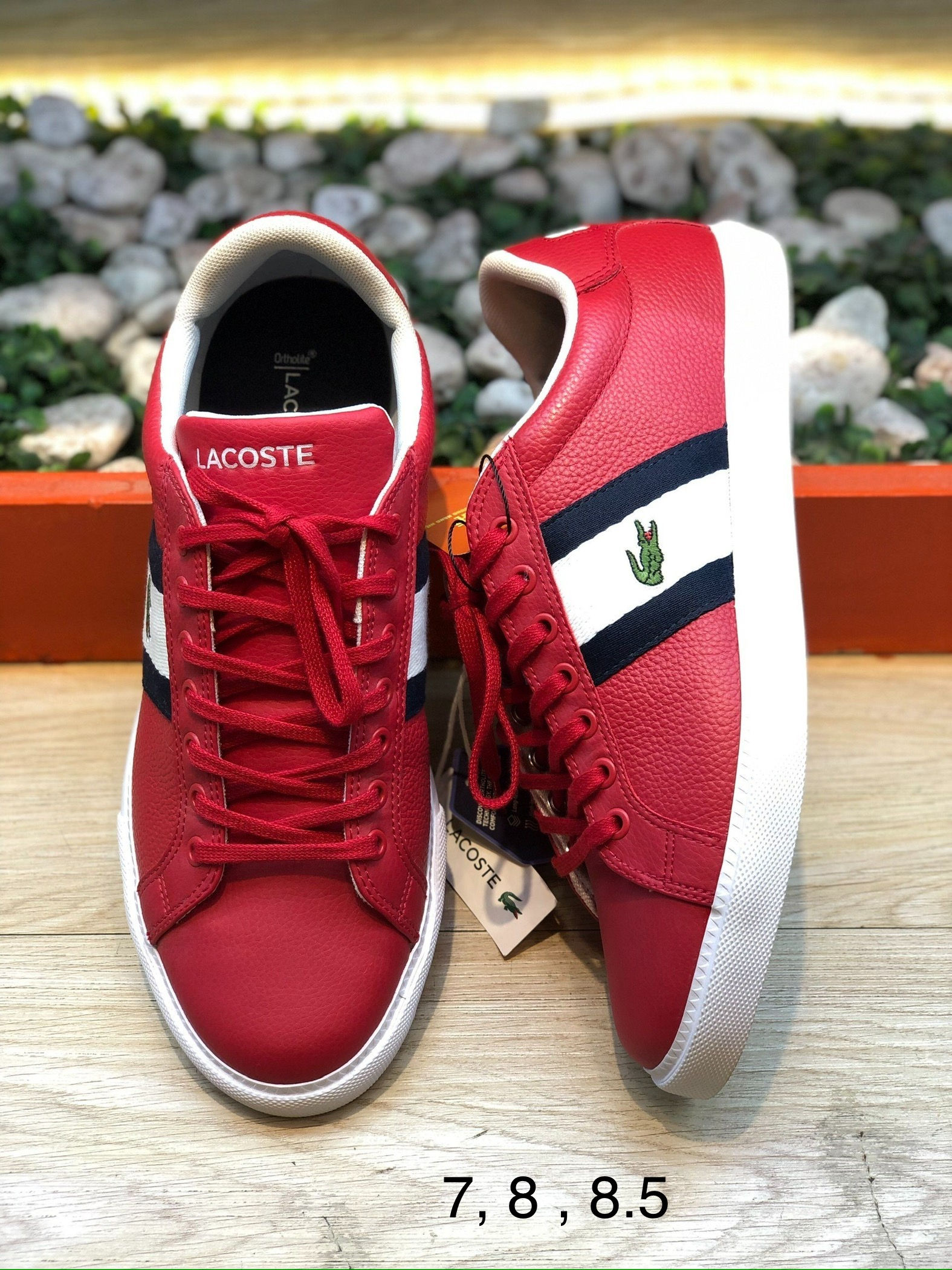 Giày Cá Sấu Lacoste chính hãng nhập Mỹ