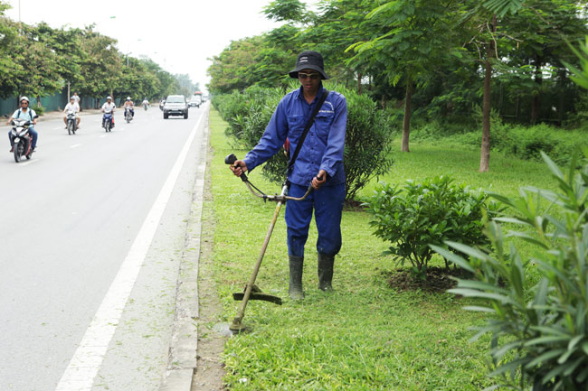 Dịch vụ Cắt c.ỏ phát hoang bằng xe cắt ở TPHCM, Đồng Nai