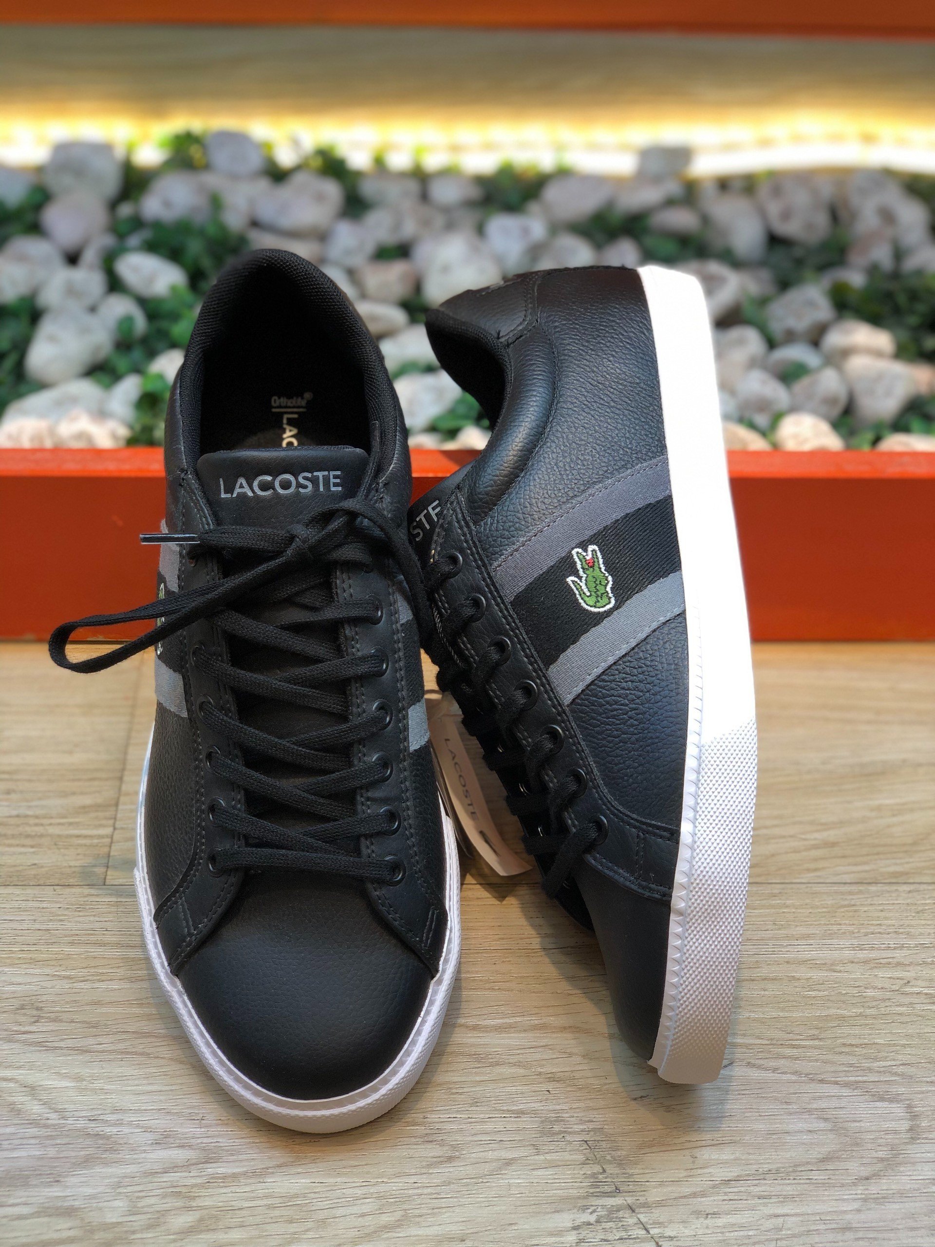 Giày thể thao Lacoste nam chính hãng nhập Mỹ