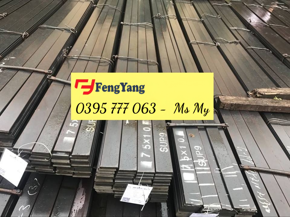 THANH ĐÀN HỒI SUP7, SUP9, 65Mn, ...