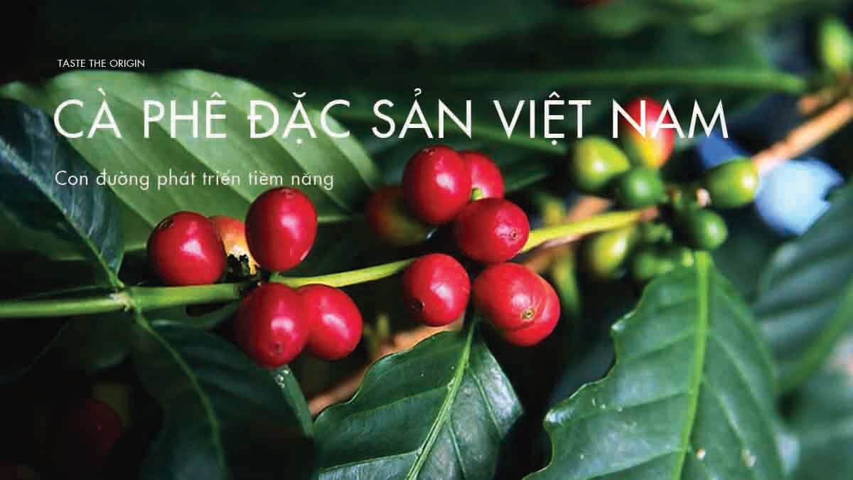 Hạt Cà Phê – Tinh Hoa của Từng Giọt Cà Phê