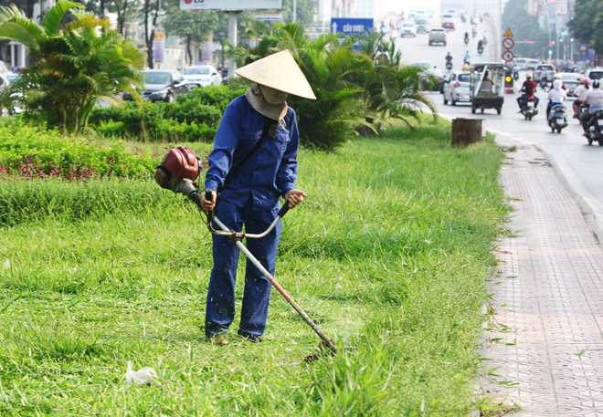 Các gói dịch vụ cắt cỏ và phát hoang KV TPHCM, Đồng Nai