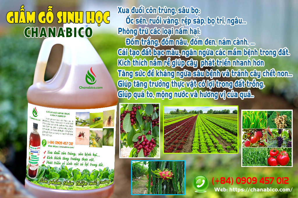 Giấm gỗ CHANABICO cho nho, cà chua, rau xanh