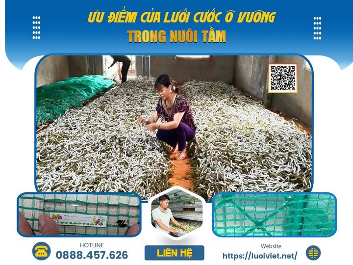 Lưới cước ô vuông nuôi tằm