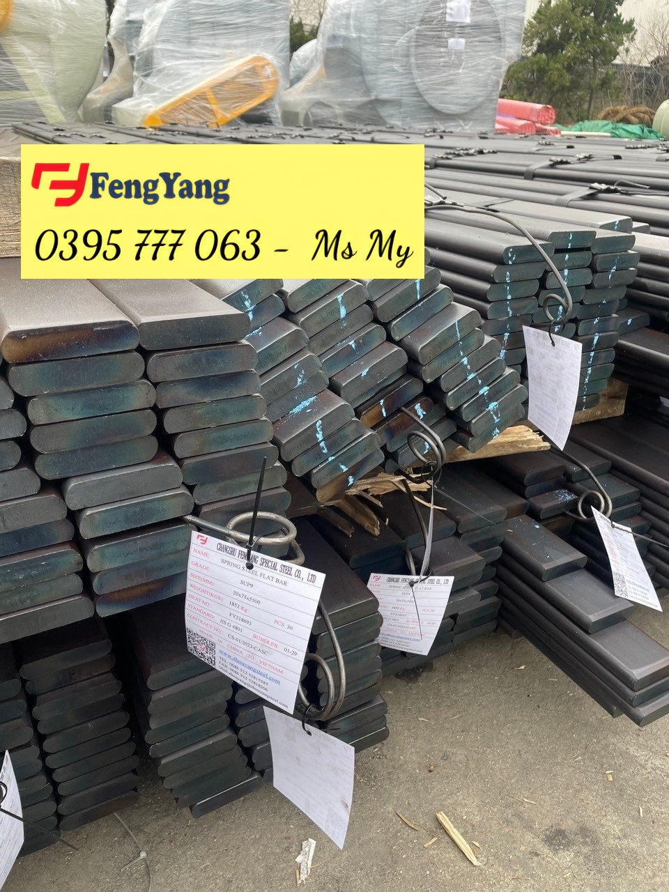 THÉP THANH ĐÀN HỒI SUP9, 65MN/SK5