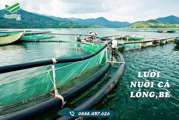 lưới nuôi cá lồng bè chất lượng