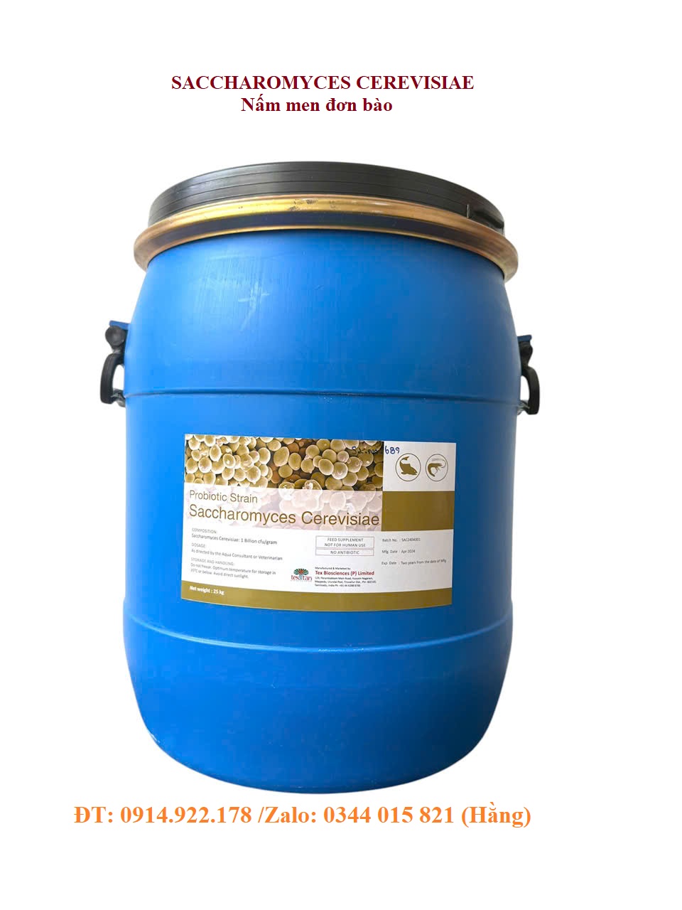 Nấm men đơn bào Sachharomyces Cerevisiae, giúp tôm cá tăng trưởng