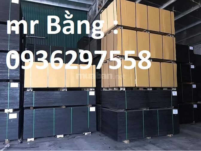 Ván ép phủ phim giá rẻ 12mm - 190k/ tấm