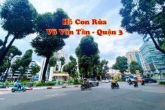 Bán nhà Hẻm Ô tô Võ Văn Tần, QUẬN 3, DT 4.3x14 (66 m2), giá 13 tỷ
