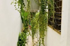 Bán nhà mới 52m² Hoà Hưng – Không gian sáng thoáng, thiết kế hiện đại, giá 6.35