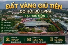 Kho xưởng 4875m2 Đặng Công Bỉnh, Xuân Thới Thượng, Hóc Môn. Bán gấp 55 tỷ!